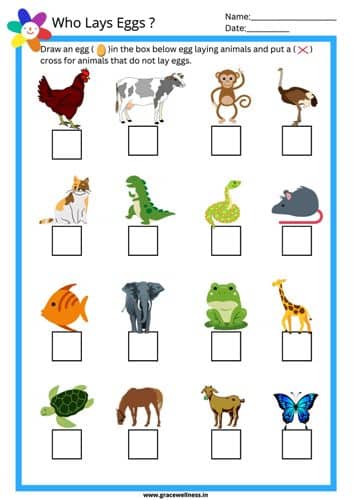 animals that lay eggs kindergarten worksheet